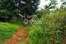 Tanah Dijual Lokasi Boja, Kendal Luas 8575m2 Legalitas Aman Tanah Dijual Lokasi Boja, Kendal Luas 8575m2 Legalitas Aman