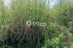 Tanah Komersial Dijual di Ngaliyan Semarang 6720m2 Tanah Komersial Dijual di Ngaliyan Semarang 6720m2