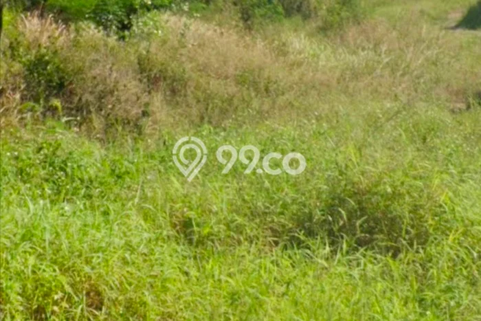 Tanah Dijual Area Strategis di Candi Golf Semarang 600m2 Tanah Dijual Area Strategis di Candi Golf Semarang 600m2