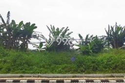 Lahan untuk Dijual Lokasi Semarang Selatan, Semarang Luas 1600m2 SHM Lahan untuk Dijual Lokasi Semarang Selatan, Semarang Luas 1600m2 SHM