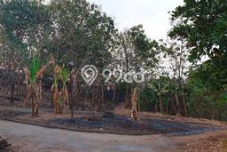 Tanah Kavling Dijual di Semarang dengan Spesifikasi 869m2 Tanah Kavling Dijual di Semarang dengan Spesifikasi 869m2