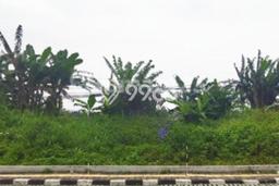 Tanah di Gajah Mungkur, Semarang Luas 1600m2 Dijual Segera Tanah di Gajah Mungkur, Semarang Luas 1600m2 Dijual Segera