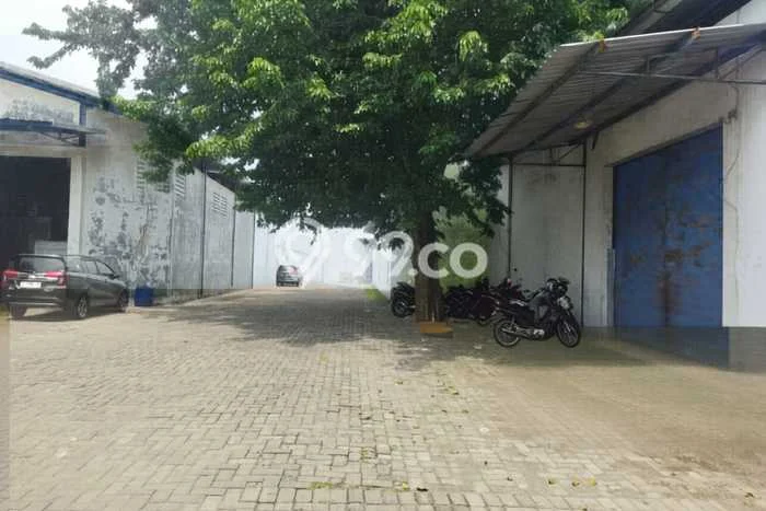 Area Strategis! Disewakan Gudang Lokasi Semarang Timur, Semarang Cocok untuk Bisnis Area Strategis! Disewakan Gudang Lokasi Semarang Timur, Semarang Cocok untuk Bisnis