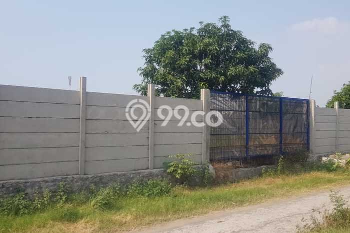 Kavling Tanah Lokasi Strategis di Tugu, Semarang Disewakan 2300m2 Kavling Tanah Lokasi Strategis di Tugu, Semarang Disewakan 2300m2