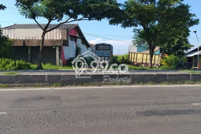 Jarang Ada! Tanah di Brebes Punya Luas 7900m2 SHM Jarang Ada! Tanah di Brebes Punya Luas 7900m2 SHM