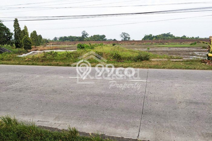Tanah di Dempet, Demak Luas 2645m2 Dijual Segera Tanah di Dempet, Demak Luas 2645m2 Dijual Segera