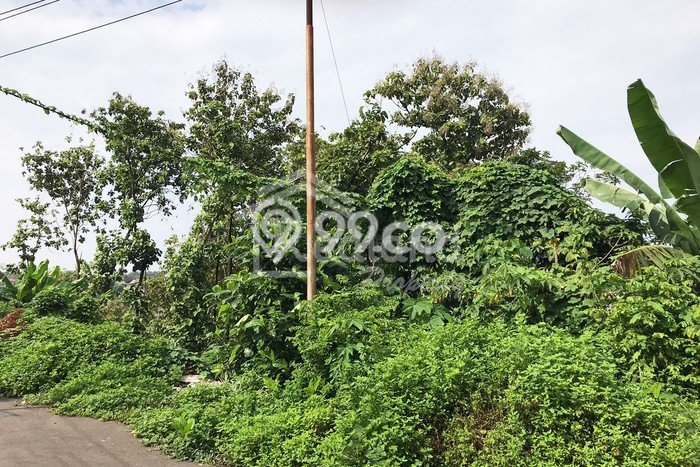 Untuk Dijual Tanah di Gajah Mungkur Semarang Luas 9500m2 - Untuk Dijual Tanah di Gajah Mungkur Semarang Luas 9500m2 -