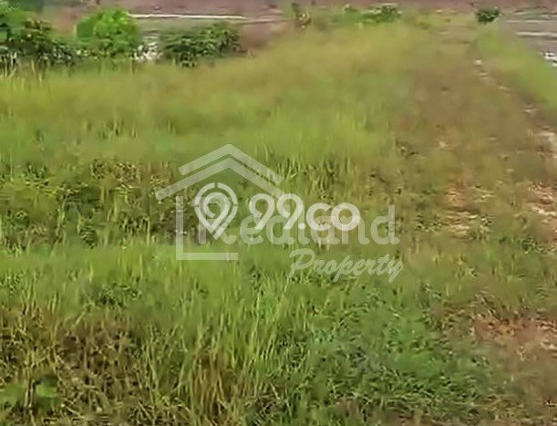 Tanah di Dempet, Demak Luas 2645m2 Dijual Segera Tanah di Dempet, Demak Luas 2645m2 Dijual Segera