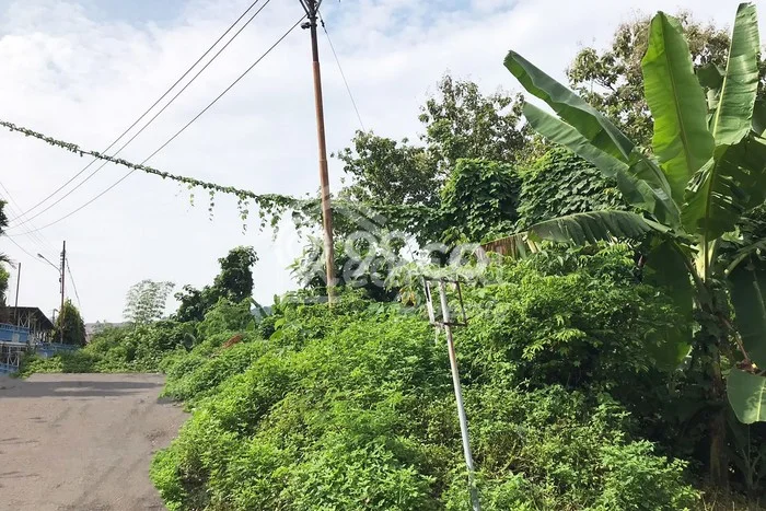 Untuk Dijual Tanah di Gajah Mungkur Semarang Luas 9500m2 - Untuk Dijual Tanah di Gajah Mungkur Semarang Luas 9500m2 -