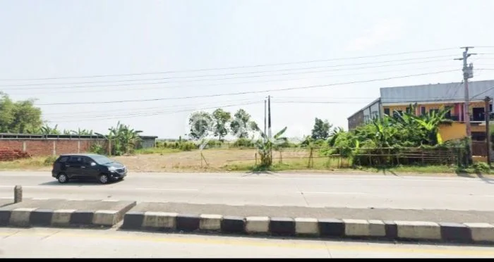 Tanah Luas Strategis di Kendal Tanah Luas Strategis di Kendal