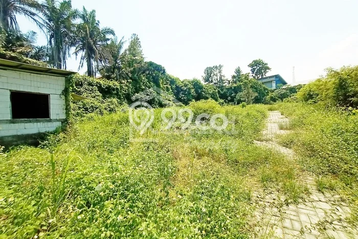 Tanah di Tugu, Semarang Luas 4919m2 Dijual Segera Tanah di Tugu, Semarang Luas 4919m2 Dijual Segera
