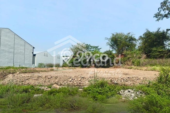 Disewakan Tanah di Ngaliyan Luas 1263m2 - Disewakan Tanah di Ngaliyan Luas 1263m2 -