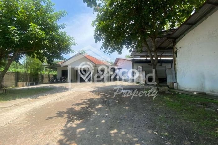Gudang disewakan lokasi strategis Tugu Semarang 4025m2 Gudang disewakan lokasi strategis Tugu Semarang 4025m2