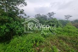 Dijual Tanah di Ungaran Timur Semarang Luas 1595m2 SHM Dijual Tanah di Ungaran Timur Semarang Luas 1595m2 SHM