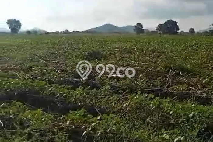 Tanah Dijual Lokasi Sumbawa, Sumbawa Luas 6.04e+06m2 Legalitas Aman Tanah Dijual Lokasi Sumbawa, Sumbawa Luas 6.04e+06m2 Legalitas Aman