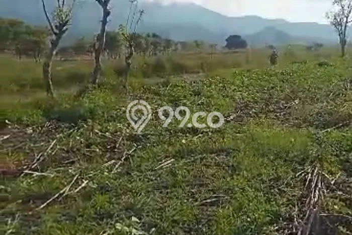 Tanah Dijual Lokasi Sumbawa, Sumbawa Luas 6.04e+06m2 Legalitas Aman Tanah Dijual Lokasi Sumbawa, Sumbawa Luas 6.04e+06m2 Legalitas Aman