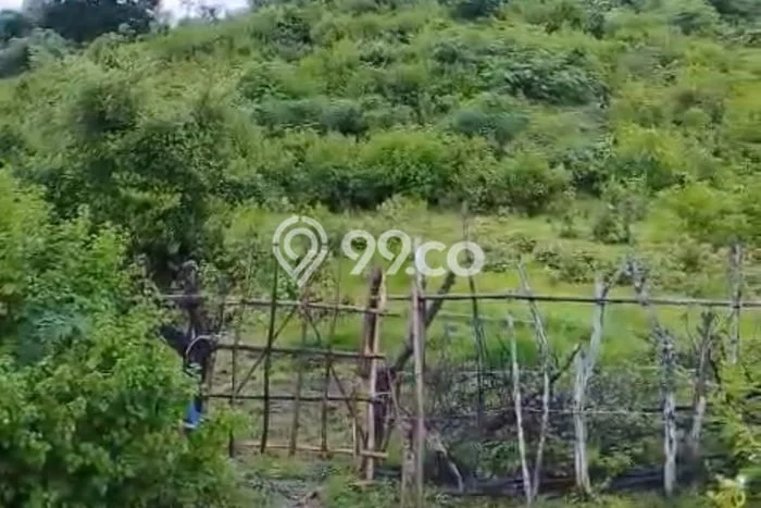 Lahan Kosong Dijual di Sumbawa, Sumbawa, Luas 580000m2 Area Strategis Lahan Kosong Dijual di Sumbawa, Sumbawa, Luas 580000m2 Area Strategis