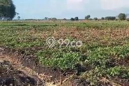 Tanah Dijual Lokasi Sumbawa, Sumbawa Luas 6.04e+06m2 Legalitas Aman Tanah Dijual Lokasi Sumbawa, Sumbawa Luas 6.04e+06m2 Legalitas Aman