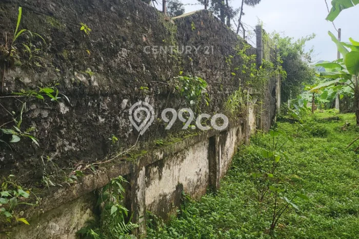 Disewakan Tanah di Babakan Bogor Seluas 953m2 Disewakan Tanah di Babakan Bogor Seluas 953m2