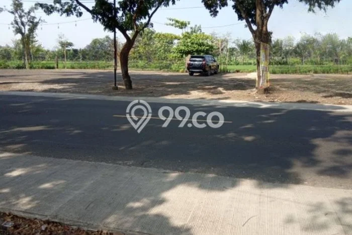 Jarang Ada! Tanah di Ciranjang Punya Luas 5010m2 SHM Jarang Ada! Tanah di Ciranjang Punya Luas 5010m2 SHM
