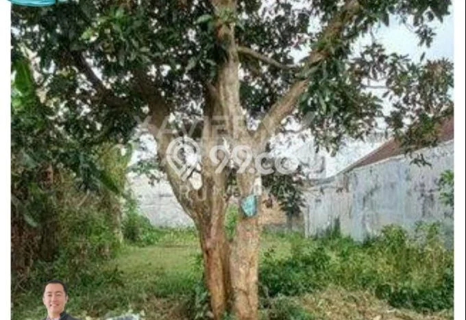 Tanah untuk Dijual di Sumbersari Jember Luas 358m2 Tanah untuk Dijual di Sumbersari Jember Luas 358m2
