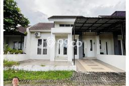 Disewakan Segera Rumah Kondisi Bagus di Area Kaliwates, Jember Disewakan Segera Rumah Kondisi Bagus di Area Kaliwates, Jember