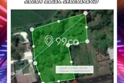 Lahan Kosong Dijual di Ajung, Jember, Luas 1800m2 Area Strategis Lahan Kosong Dijual di Ajung, Jember, Luas 1800m2 Area Strategis