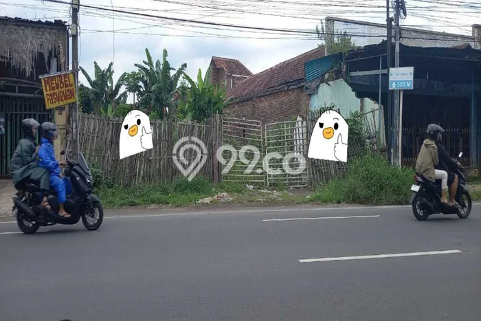 Kavling Tanah Dijual di Patrang Jember Spesifikasi 530m2 Kavling Tanah Dijual di Patrang Jember Spesifikasi 530m2