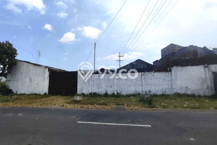 Kavling Tanah di Ajung Dijual Luas 15000m2 Legalitas SHM Kavling Tanah di Ajung Dijual Luas 15000m2 Legalitas SHM