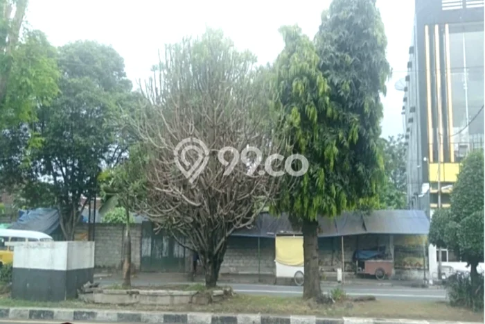 Lahan untuk Dijual Lokasi Kaliwates, Jember Luas 1180m2 SHM Lahan untuk Dijual Lokasi Kaliwates, Jember Luas 1180m2 SHM