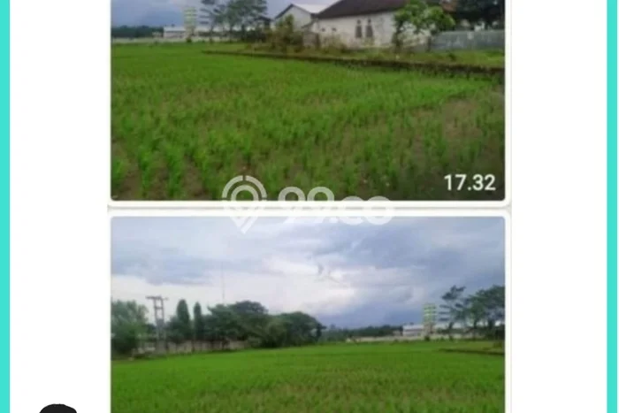 Kavling Tanah di Bangsalsari Dijual Luas 4260m2 Legalitas SHM Kavling Tanah di Bangsalsari Dijual Luas 4260m2 Legalitas SHM