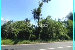 Lahan Strategis di Ajung Dijual dengan Luas 12000m2 Lahan Strategis di Ajung Dijual dengan Luas 12000m2