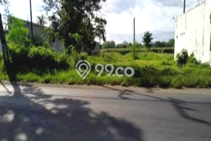 Tanah Dijual Lokasi Jenggawah, Jember dengan Luas Tanah 2220m2 dan Status SHM Tanah Dijual Lokasi Jenggawah, Jember dengan Luas Tanah 2220m2 dan Status SHM