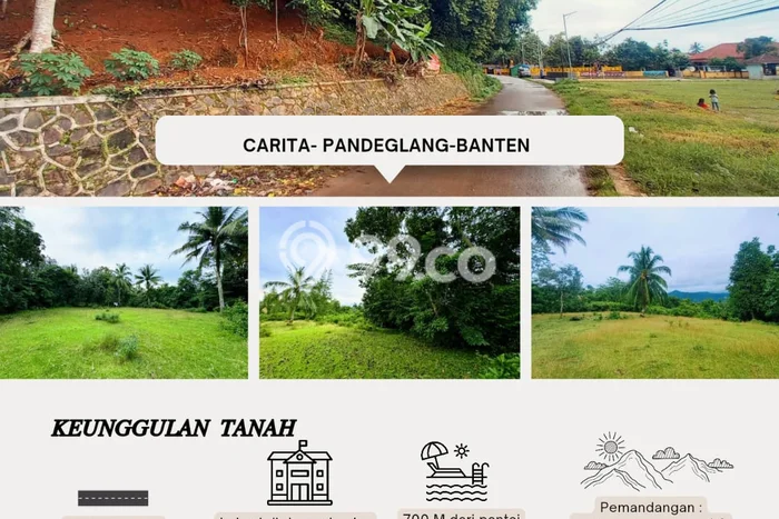 Lahan Strategis di Menes Dijual dengan Luas 42000m2 Lahan Strategis di Menes Dijual dengan Luas 42000m2
