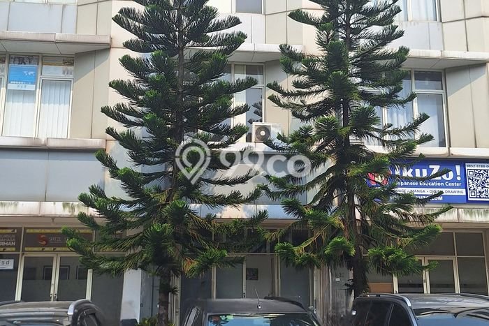 Kost Dijual di Alam Sutera dengan 11 KT dan Luas 200m2 Kost Dijual di Alam Sutera dengan 11 KT dan Luas 200m2