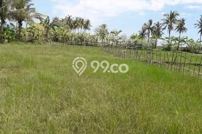 Tanah Kavling Dijual di Pemenang Timur, Lombok Utara dengan Luas Tanah 100m2 Tanah Kavling Dijual di Pemenang Timur, Lombok Utara dengan Luas Tanah 100m2