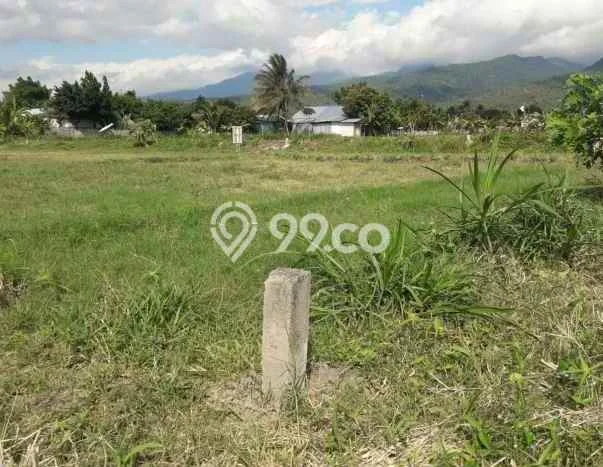 Tanah Dijual di Lombok Utara Seluas 100m2 Strategis Tanah Dijual di Lombok Utara Seluas 100m2 Strategis