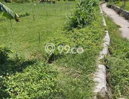 Tanah Dijual di Lombok Utara Seluas 100m2 Strategis Tanah Dijual di Lombok Utara Seluas 100m2 Strategis