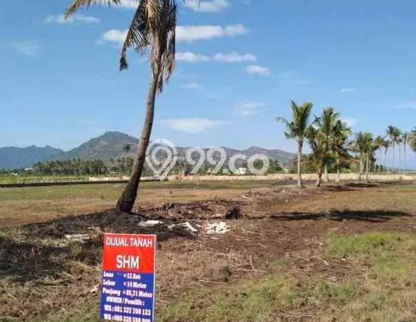 Tanah Kavling Dijual di Pemenang Timur, Lombok Utara dengan Luas Tanah 100m2 Tanah Kavling Dijual di Pemenang Timur, Lombok Utara dengan Luas Tanah 100m2