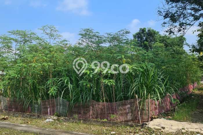 Jarang Ada! Tanah di Wonosari Punya Luas 956m2 SHM Jarang Ada! Tanah di Wonosari Punya Luas 956m2 SHM