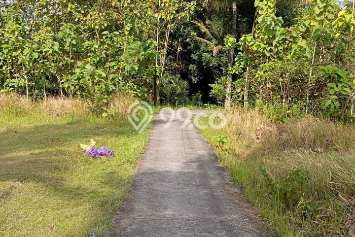 Tanah Kavling di Kasihan Dijual dengan Luas 2434m2 Tanah Kavling di Kasihan Dijual dengan Luas 2434m2