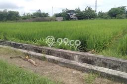 Tanah Kosong Dijual di Bantul dengan Area 640m2 Tanah Kosong Dijual di Bantul dengan Area 640m2