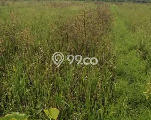 Jarang Ada! Tanah di Sewon Punya Luas 640m2 SHM Jarang Ada! Tanah di Sewon Punya Luas 640m2 SHM