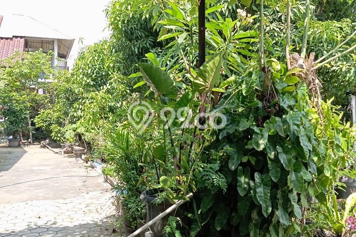 Hunian Elit LB 100m2 Siap Huni Desain Elegan di Purwomartani , Sleman Hunian Elit LB 100m2 Siap Huni Desain Elegan di Purwomartani , Sleman