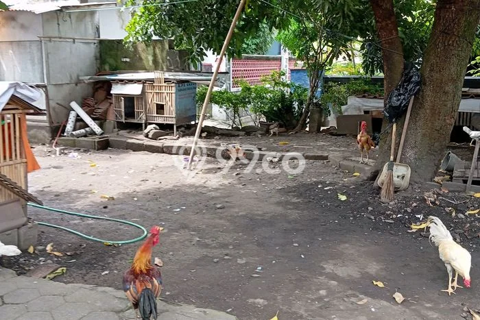 Untuk Dijual Komersial di Mergangsan, Yogyakarta Harga Penawaran Spesial Untuk Dijual Komersial di Mergangsan, Yogyakarta Harga Penawaran Spesial