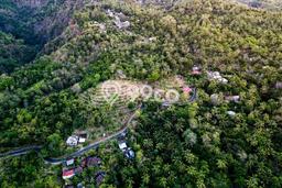 Kavling Tanah Dijual di Buleleng, Buleleng, Luas 10000m2 Area Strategis Kavling Tanah Dijual di Buleleng, Buleleng, Luas 10000m2 Area Strategis