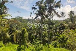 Tanah Kavling untuk Dijual di Selemadeg Tabanan 3300m2 Tanah Kavling untuk Dijual di Selemadeg Tabanan 3300m2