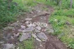 Jarang Ada! Tanah di Karangasem Punya Luas 18000m2 SHM Jarang Ada! Tanah di Karangasem Punya Luas 18000m2 SHM
