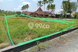 Kavling Tanah untuk Disewa di Canggu Lahan Luas 1000m2 Kavling Tanah untuk Disewa di Canggu Lahan Luas 1000m2