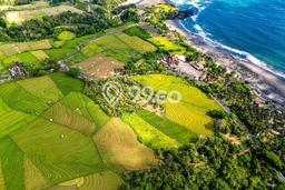 Kavling Tanah Dijual di Tabanan Tabanan Spesifikasi 3700m2 Kavling Tanah Dijual di Tabanan Tabanan Spesifikasi 3700m2